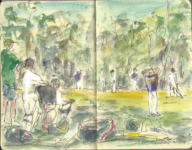 cricketmatchfridayevening